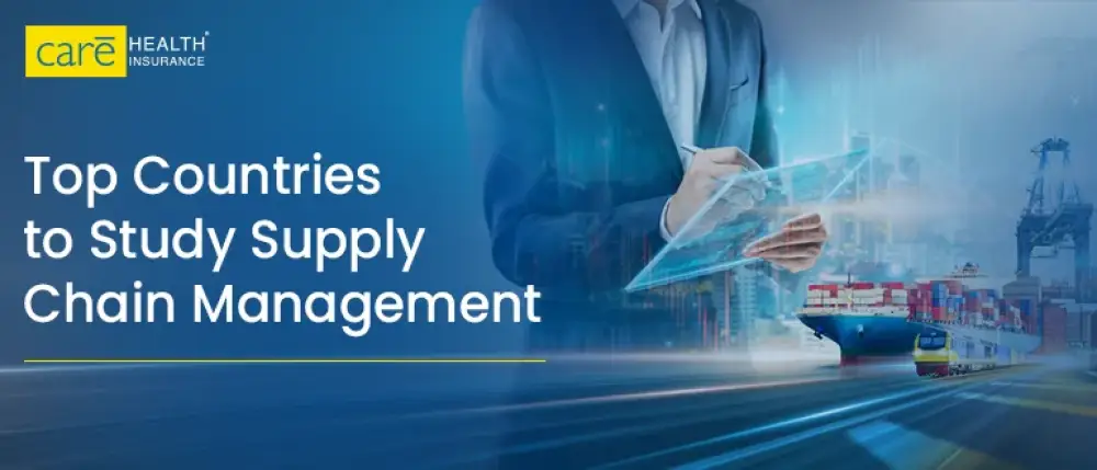 Explore the 7 Best Countries to Study Supply Chain Management