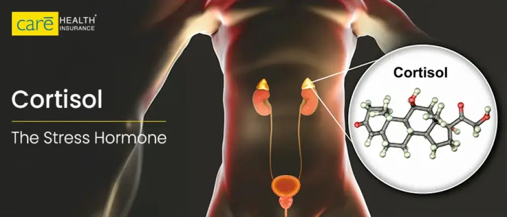 This is How Cortisol Symptoms Can Destroy Your Health!