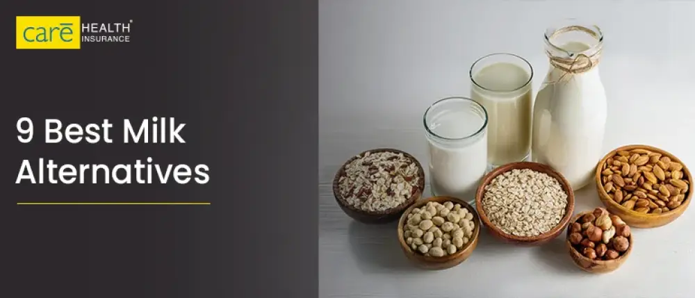 Best Milk Alternatives Rich in Nutrients and Protein