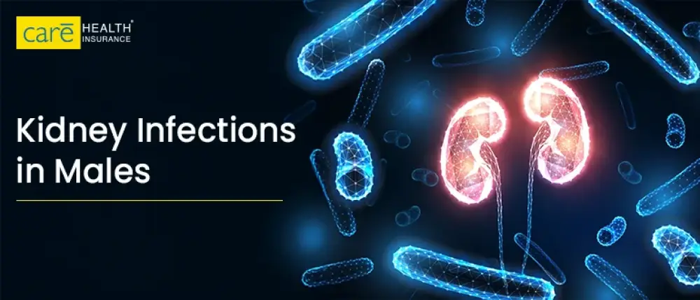 Is it Only Women Who Get Kidney Infections?