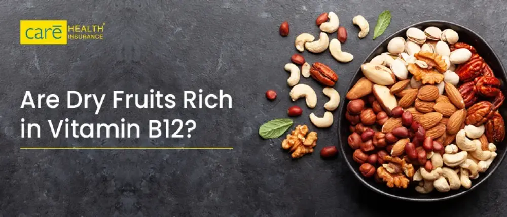 Are Dry Fruits Rich in Vitamin B12? A Nutrient-Packed Guide