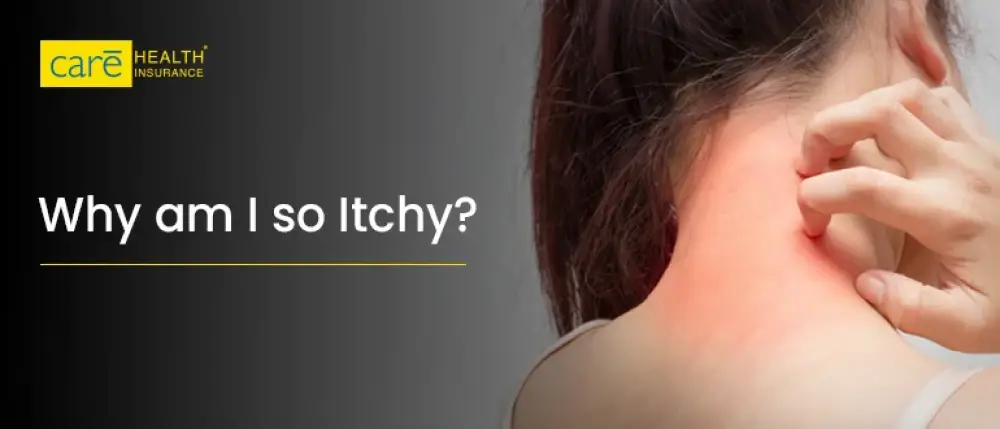 Scratching Non-Stop? Know What’s Behind That Itch And When To Worry