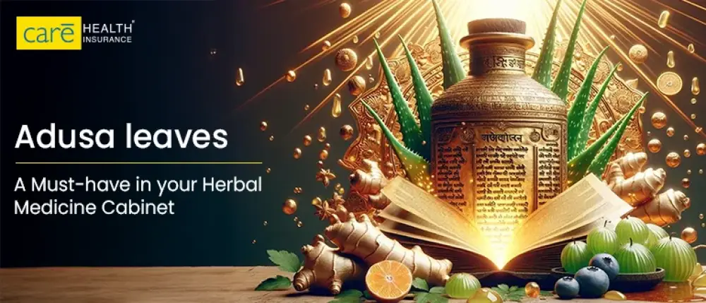 अडूसा पौधे के लाभ, जिन्हें आप अनदेखा नहीं कर सकते
