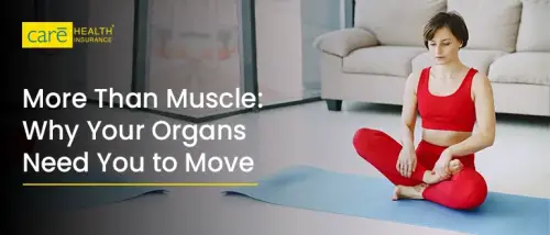 Exercises That Support Your Organs: Move for Better Health Exercises That Support Your Organs: Move for Better Health