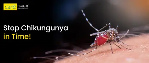 Decode Chikungunya Disease Before it Spreads