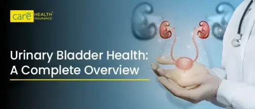 Everything You Need to Know About Urinary Bladder