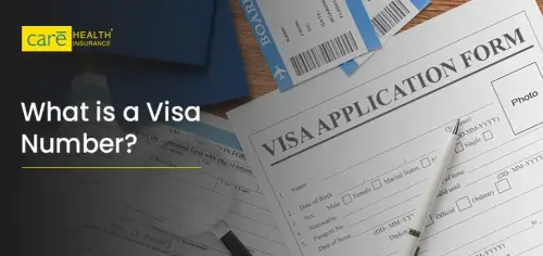 Why is the Visa Number Important? Why is the Visa Number Important?