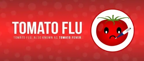 Tomato Flu Symptoms, Causes, and Prevention Tomato Flu Symptoms, Causes, and Prevention