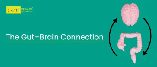 The Hidden Power of the Gut-Brain Axis The Hidden Power of the Gut-Brain Axis