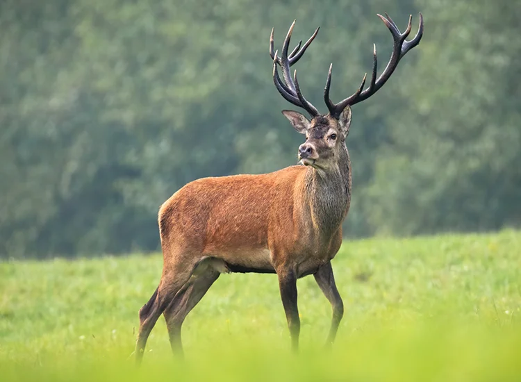 Akan National Park Akan