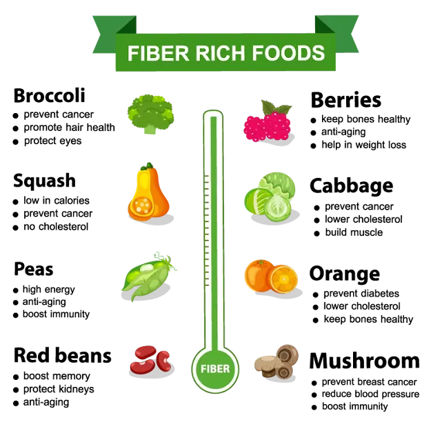 fibre foods fibre foods