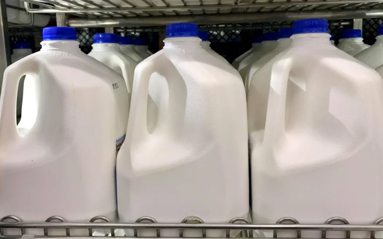 Full Fat Dairy Products Full Fat Dairy Products