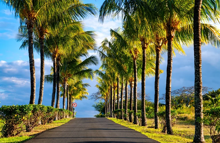 Grand Baie Grand Baie