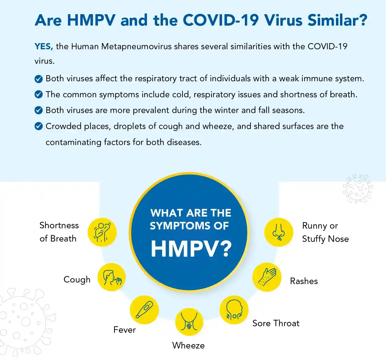 Are HMPV and the COVID-19 Virus Similar?