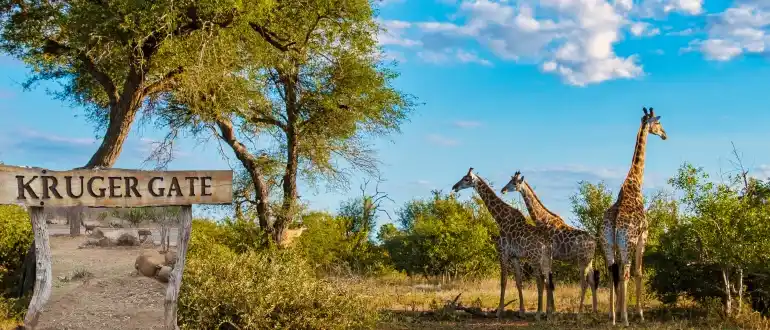 Kruger National Park Kruger National Park
