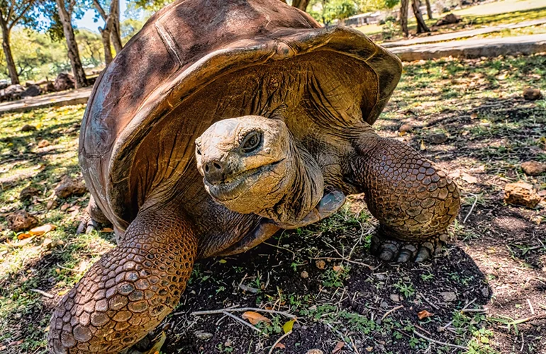 La Vanille Nature Park La Vanille Nature Park