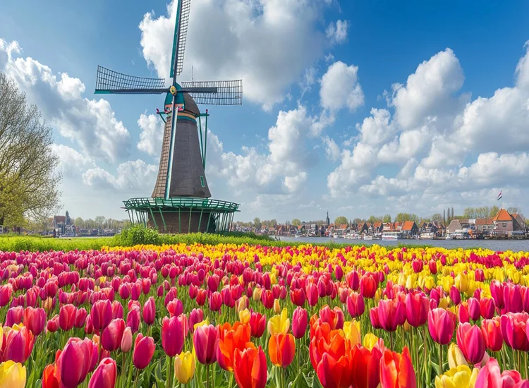Netherlands