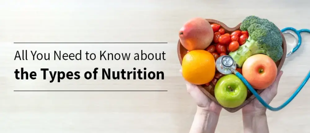 All You Need to Know about the Types of Nutrition