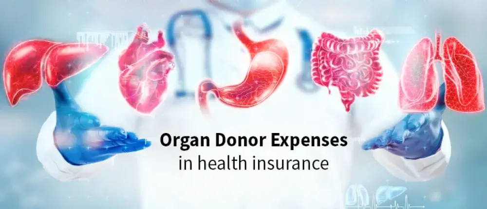 What is Organ Donor Coverage in Health Insurance?