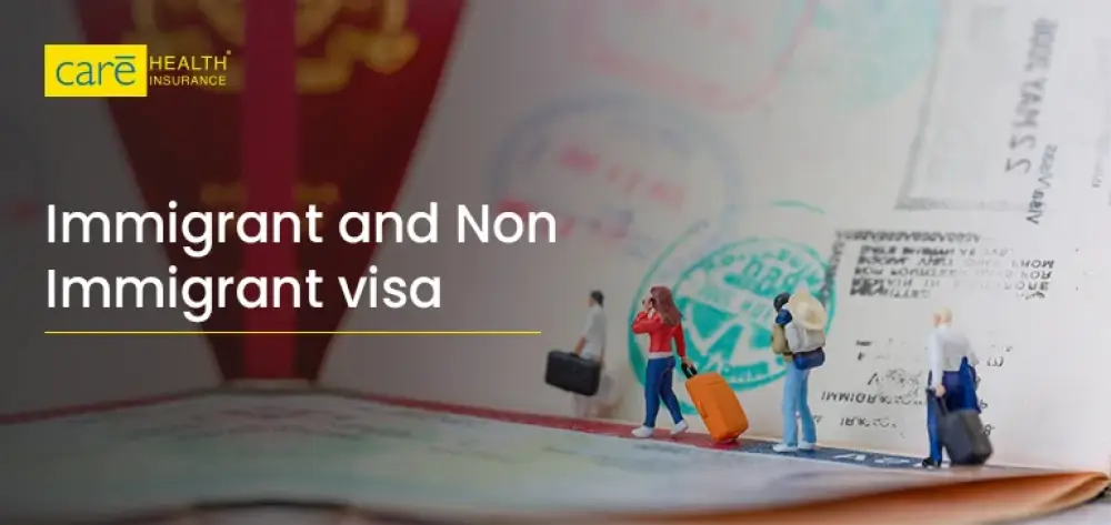 What is the Difference Between Immigrant and Non-Immigrant Visas?