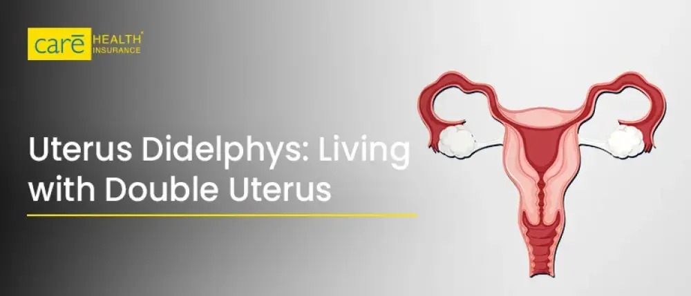 Uterus Didelphys: Causes, Symptoms & Treatment