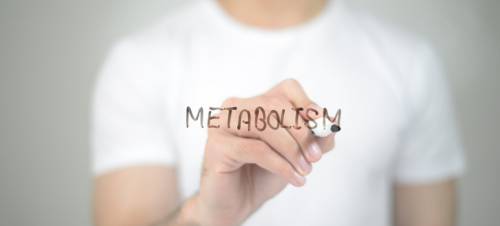 the link between fatty liver and insulin resistance some healthy food options to choose