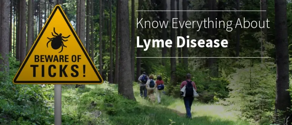 Know Everything About Lyme Disease- Causes, Symptoms & Treatment