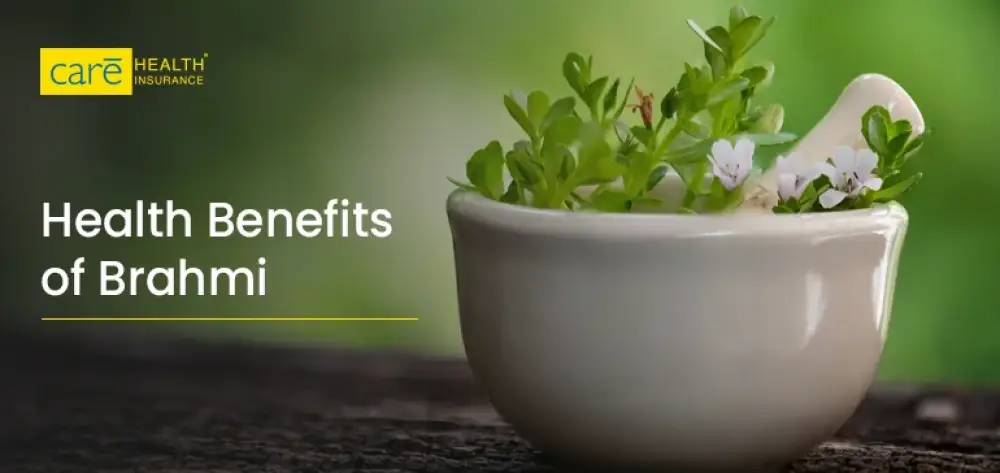 Health Benefits of Brahmi: A Complete Guide to This Ancient Ayurvedic Herb