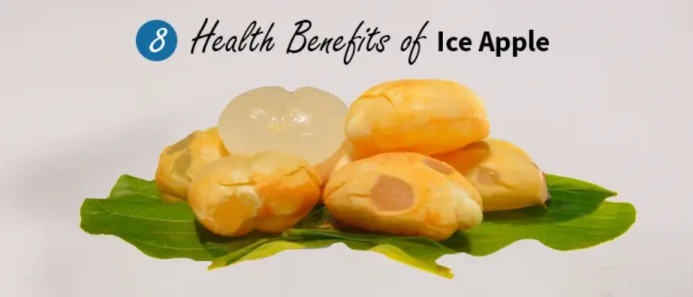 8 Health Benefits of Ice Apple