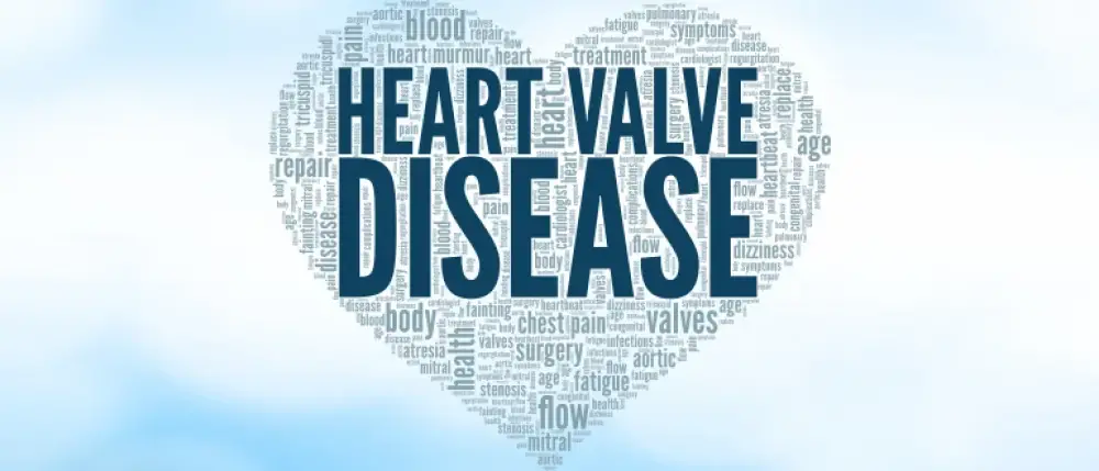 Heart Valve Diseases: Causes, Symptoms and Treatment