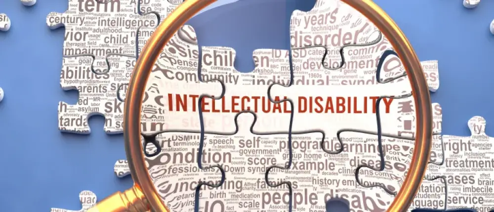 What are Intellectual Disabilities?
