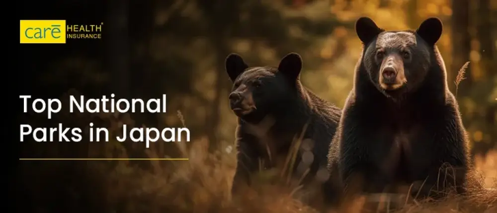 Top National Parks in Japan
