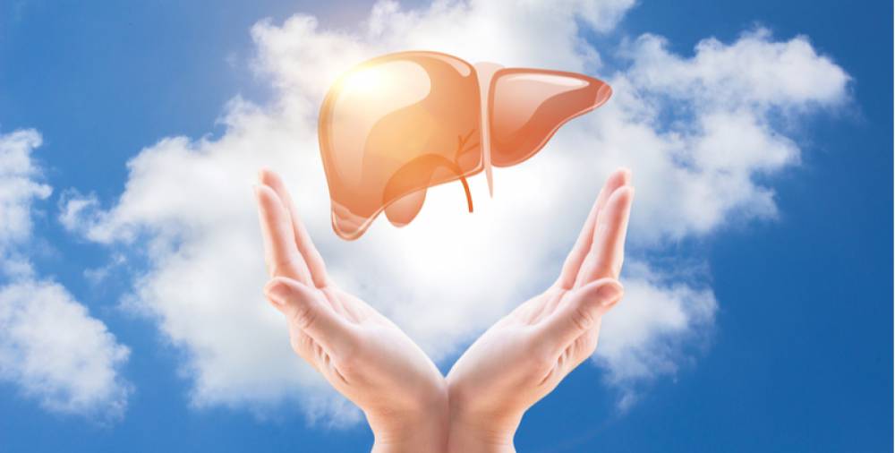 Chronic Liver Disease – Symptoms & Causes