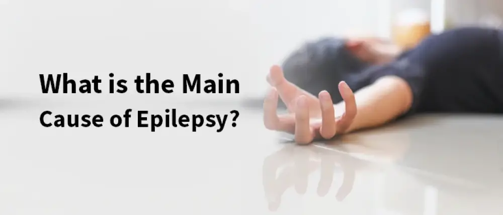 What is the Main Cause of Epilepsy?