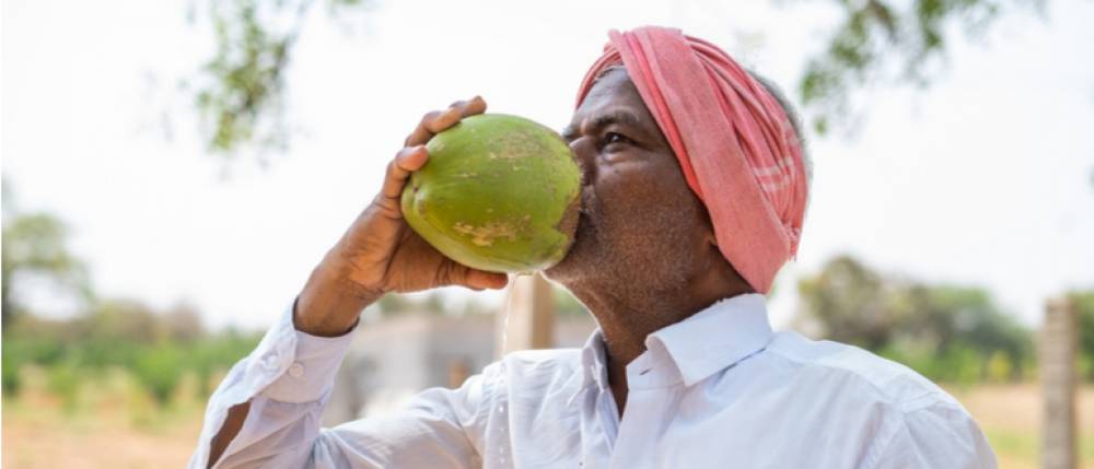 Is Coconut Water Good for Diabetics? Know the Right Way to Drink It