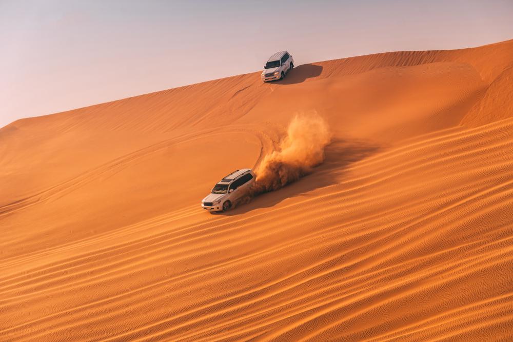 Desert Safari