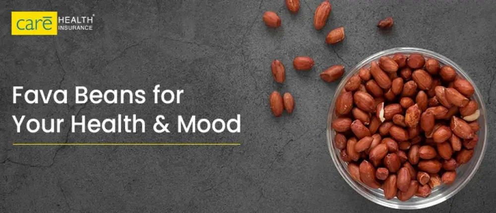 Fava Beans Benefits, Recipes, and Risks that You Should Know