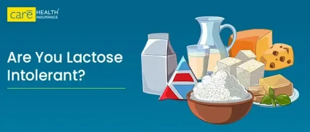 Your Survival Guide to Lactose Intolerance