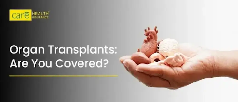 Organ Donation Insurance: Does Insurance Cover Organ Transplant?