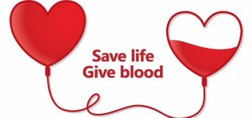 Importance of Blood Donation: 5 Key Things to Consider