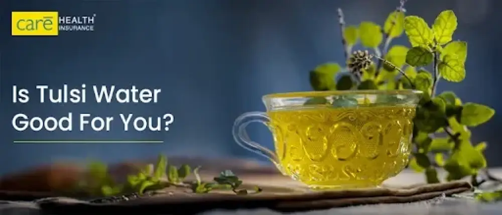 Tulsi Water: A Cup Full of Calm in a Chaotic World