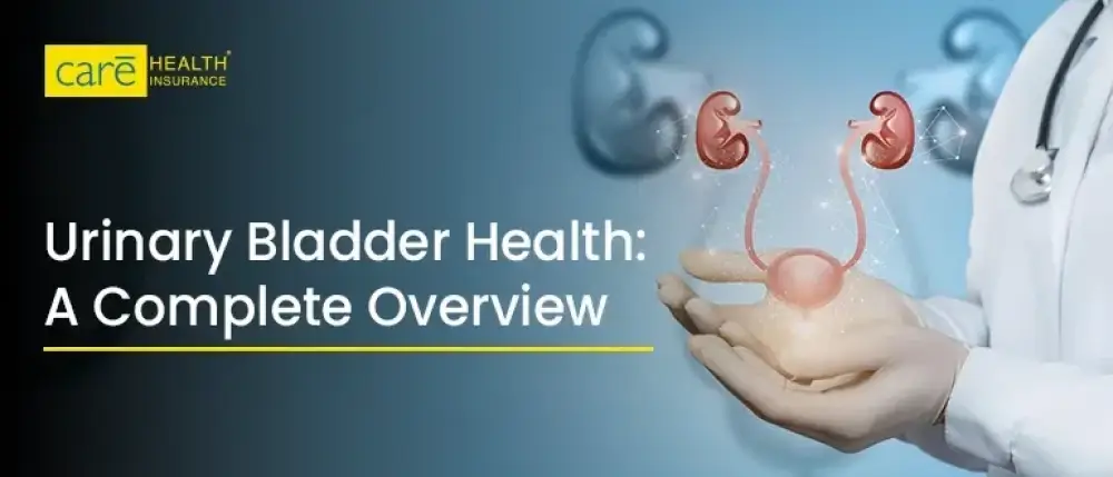 Everything You Need to Know About Urinary Bladder Everything You Need to Know About Urinary Bladder