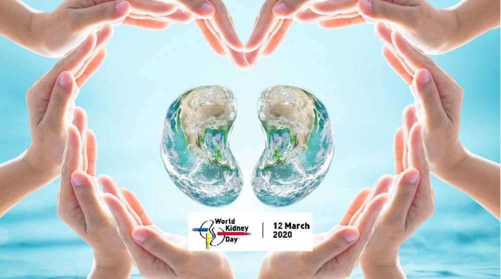World Kidney Day 2020: 6 Health Tips to Prevent Chronic Kidney Disease