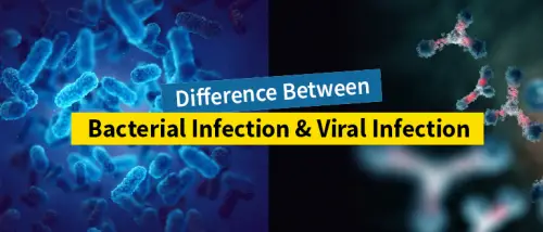 viral fever and bacterial fever how are they different from each other