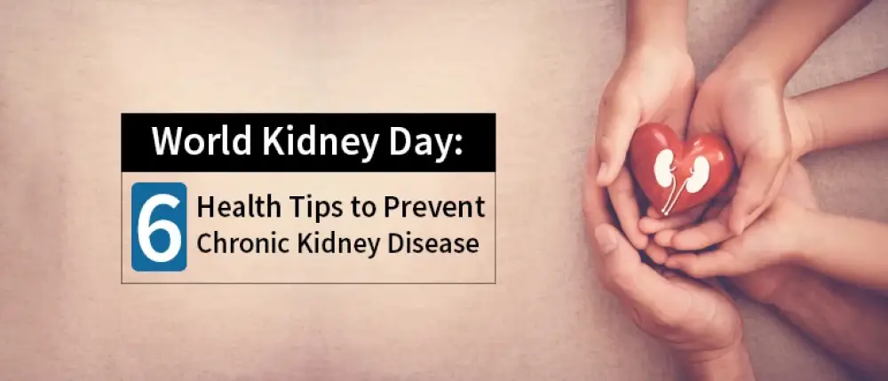 World Kidney Day 2024: 6 Health Tips to Prevent Chronic Kidney Diseases