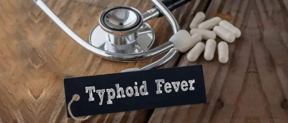 typhoid how dangerous it could be