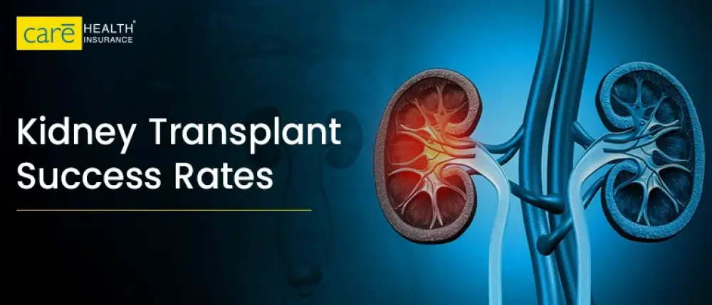 Success Rate of Kidney Transplants: What You Need to Know