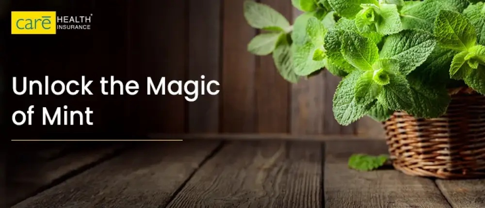 The Surprising Benefits of Mint Leaves You Never Knew About