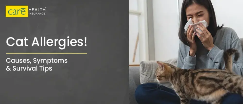 Cat Allergies: Causes, Symptoms & How to Live Happily with Your Paw-Pet