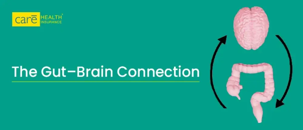 The Hidden Power of the Gut-Brain Axis The Hidden Power of the Gut-Brain Axis